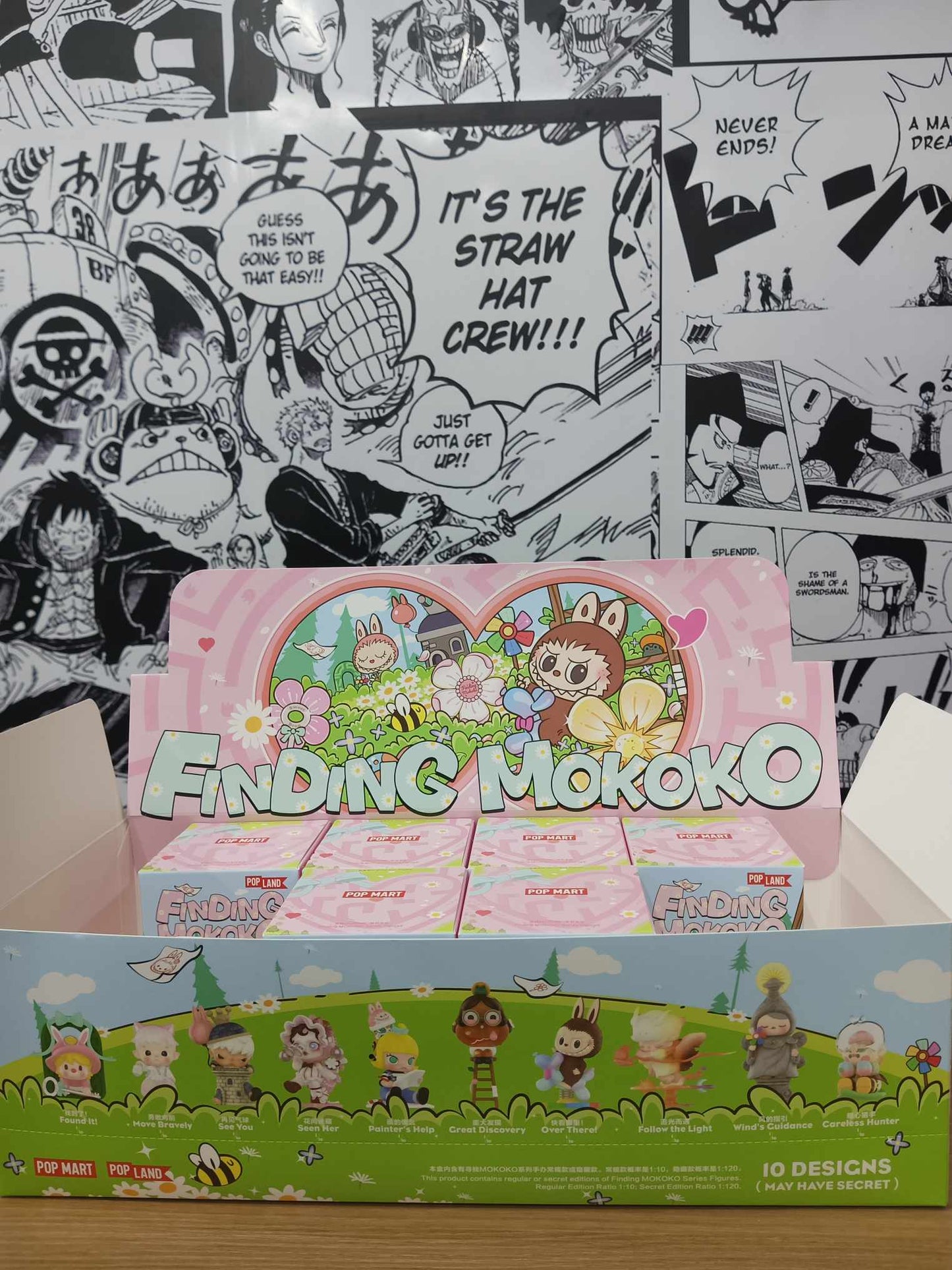 On Hand Finding Mokoko